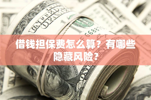 武汉借钱担保费怎么算？有哪些隐藏风险？