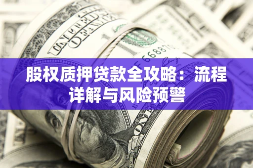武汉股权质押贷款全攻略：流程详解与风险预警