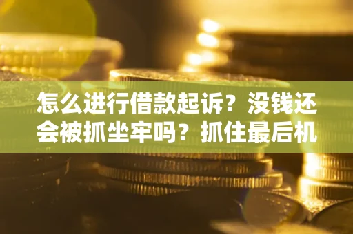 武汉怎么进行借款起诉？没钱还会被抓坐牢吗？抓住最后机会！