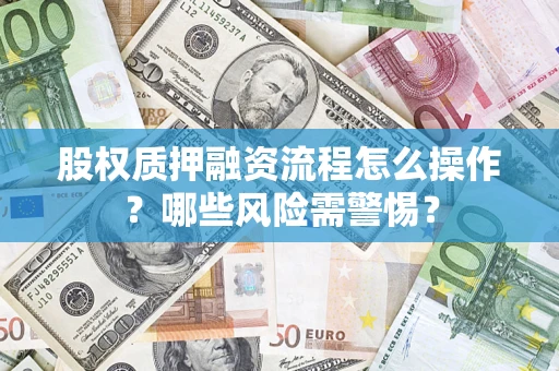 武汉股权质押融资流程怎么操作？哪些风险需警惕？