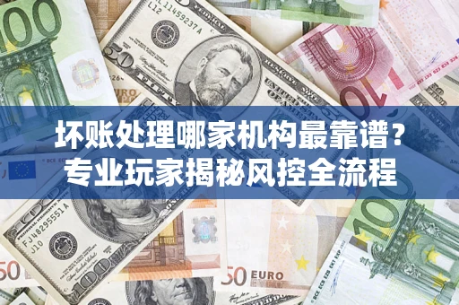武汉坏账处理哪家机构最靠谱？专业玩家揭秘风控全流程