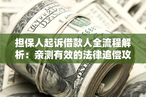 武汉担保人起诉借款人全流程解析：亲测有效的法律追偿攻略