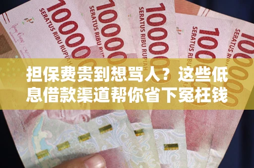 武汉担保费贵到想骂人？这些低息借款渠道帮你省下冤枉钱