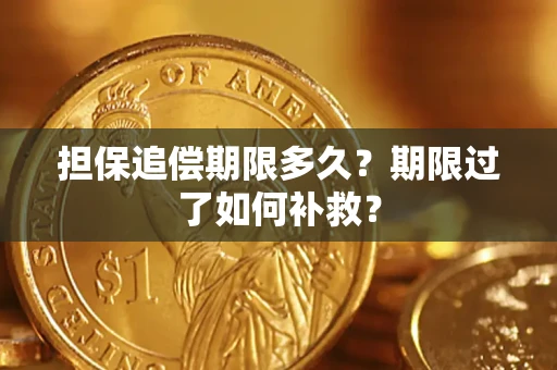 武汉担保追偿期限多久？期限过了如何补救？