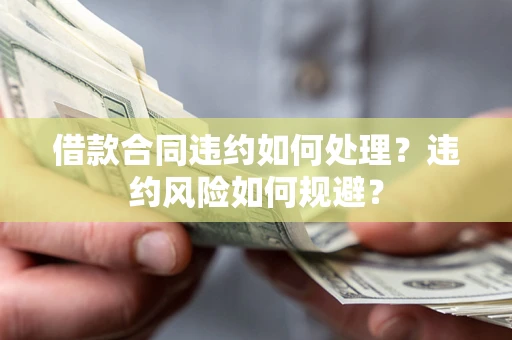 武汉借款合同违约如何处理？违约风险如何规避？