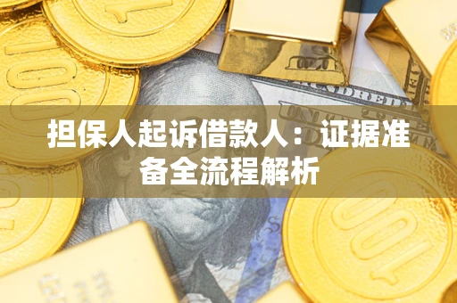 武汉担保人起诉借款人：证据准备全流程解析