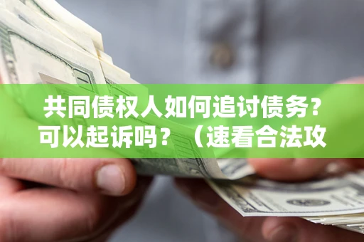 武汉共同债权人如何追讨债务？可以起诉吗？（速看合法攻略）