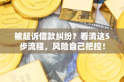 武汉被起诉借款纠纷？看清这5步流程，风险自己把控！