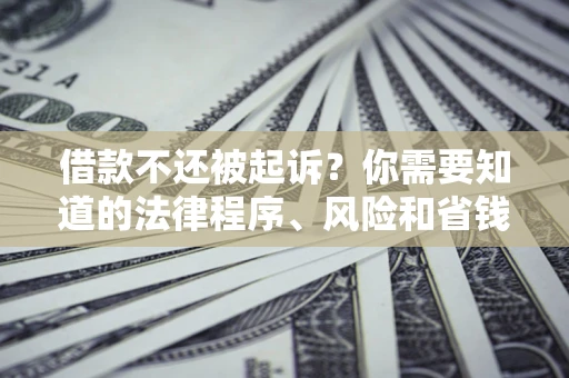 武汉借款不还被起诉？你需要知道的法律程序、风险和省钱技巧